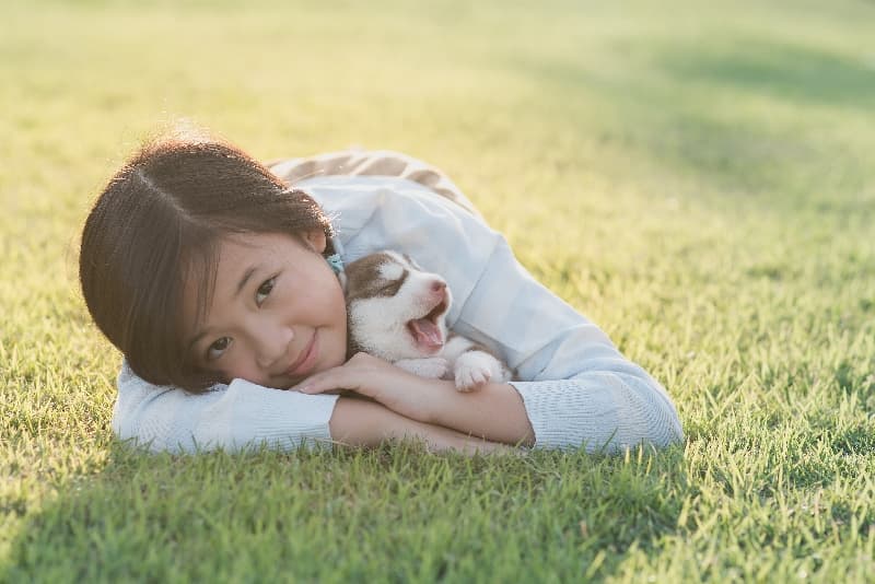 부산유기견보호소 위탁견 케어 — 실제 보호소 사진 8